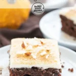 kurbis schoko kuchen backen macht glucklich 2026 07 24 033012 1