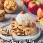 mini apple pies vegane apfel kuchlein 2026 07 19 191526 576x1024 1
