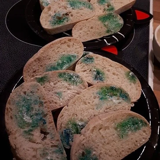 Schimmeliges Brot - Ekeliges Halloween Rezept für die Vampir Party