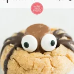 spinnen cookies fur halloween backen macht gluck 2026 08 06 224211 1